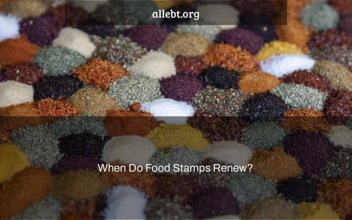 how do i renew my food stamps online in florida terbaru