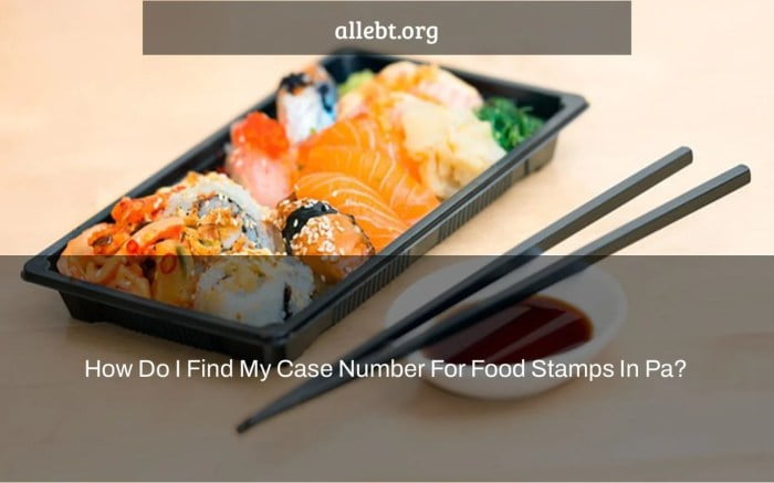 how to find case number for food stamps