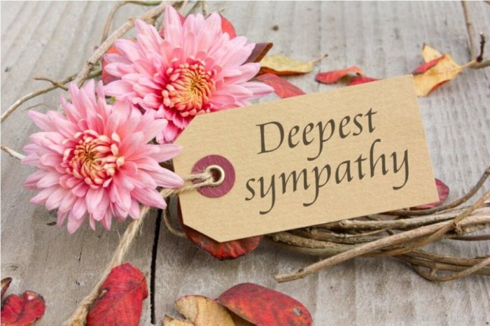 sympathy deepest card condolence cards brilliant pic desicomments put background loss graphics flowers words notice send desi pink graciously receive