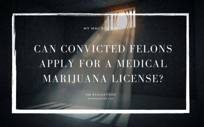 vote political felons voting analyst convicted cannabis presidential candidates voter suppression begins senate ballots duties