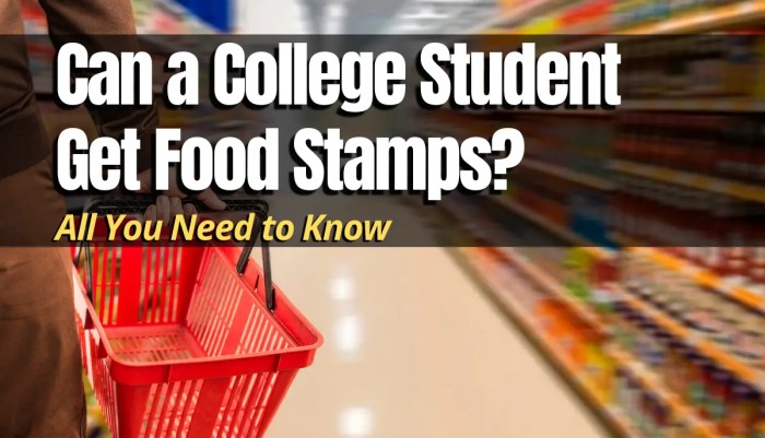 can a college student get food stamps