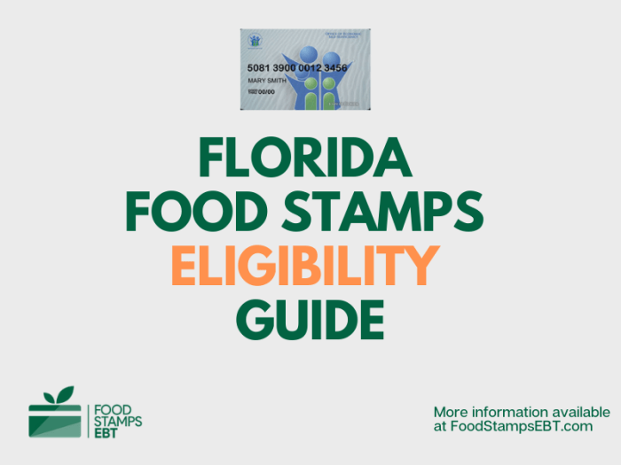 florida food stamps eligibility application guide assistance successful benefits submit need information will