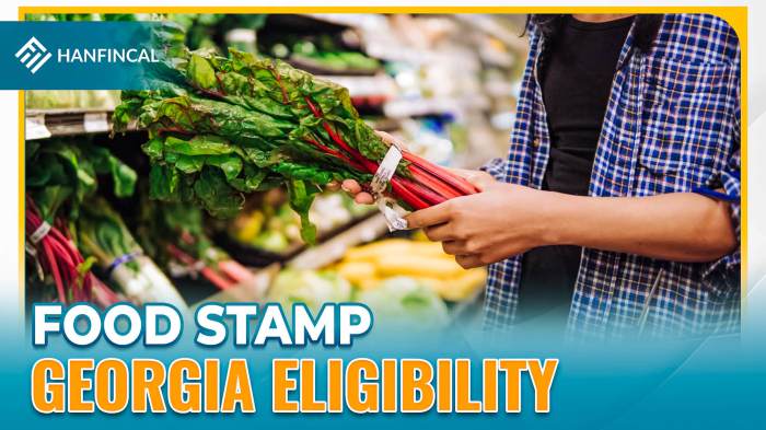 how to apply for georgia food stamps