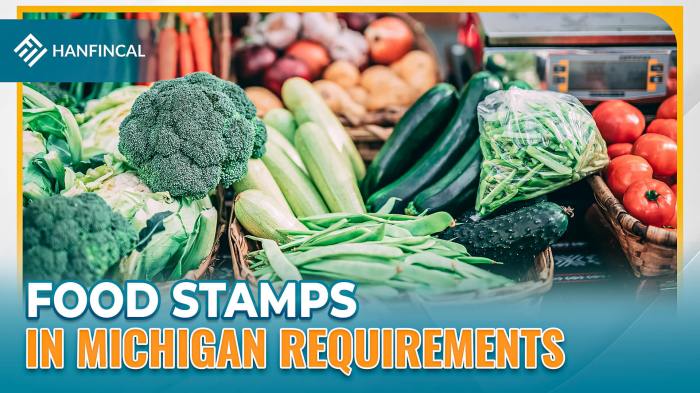 how to apply for food stamps in michigan