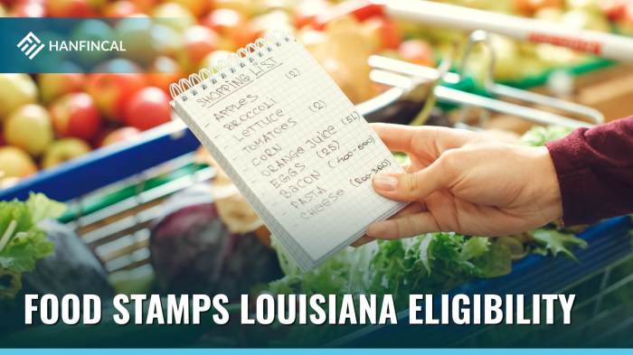 louisiana eligibility income foodstampsebt ebt