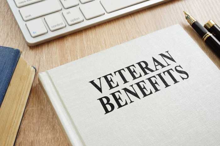 does va disability count as income for food stamps terbaru