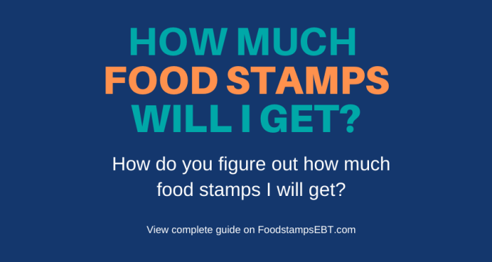 how much is food stamps terbaru