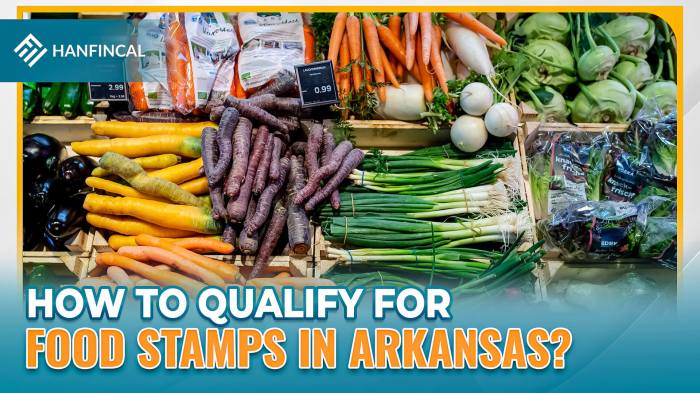 how to apply for food stamps in arkansas