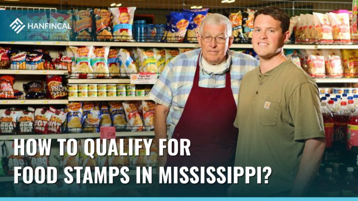 how much food stamps will i get in mississippi terbaru