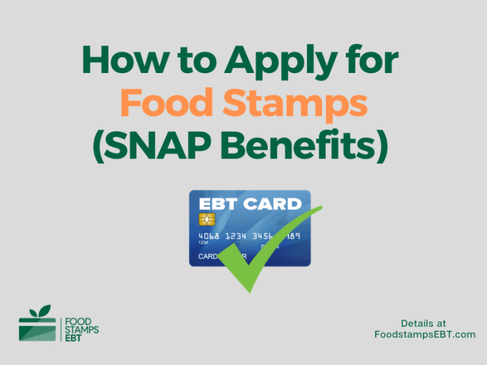 how do you apply for food stamps online