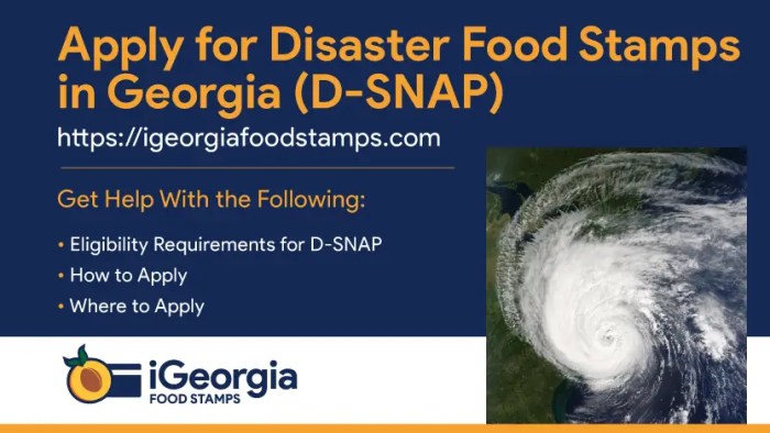 how to apply for food stamps in georgia online terbaru