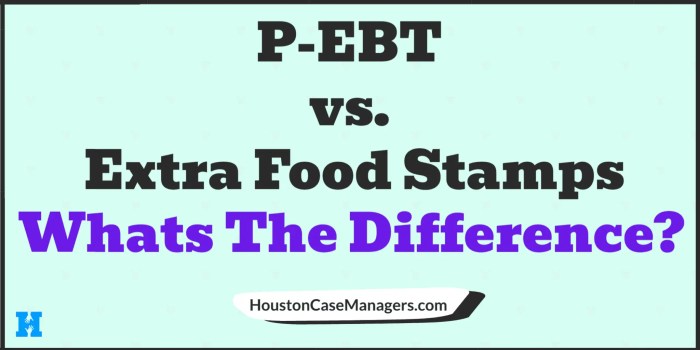 what is the difference between ebt and food stamps