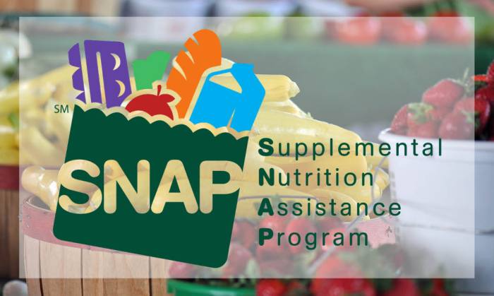 what does the supplemental nutrition assistance program do terbaru