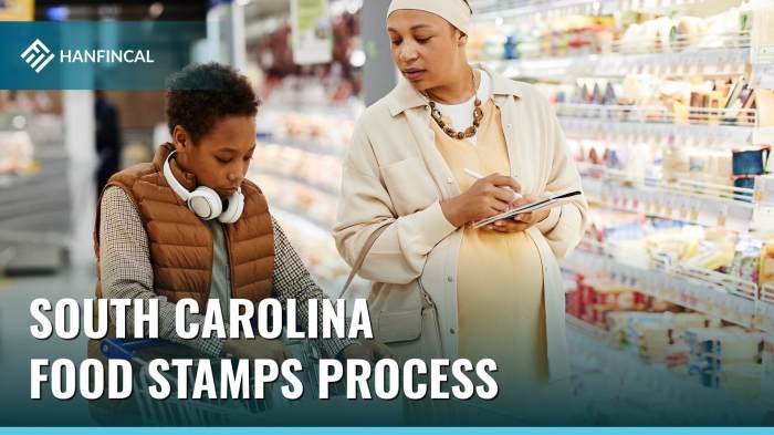 how to apply for food stamps in south carolina terbaru