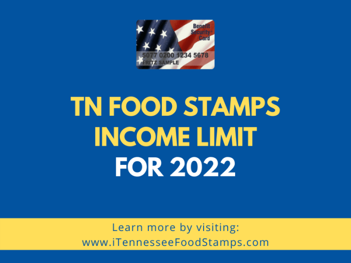 what is the income limit for food stamps in tn