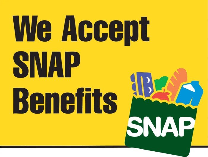 is ebt food stamps terbaru