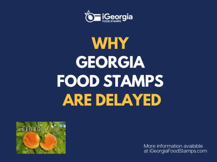 why is georgia food stamps delayed