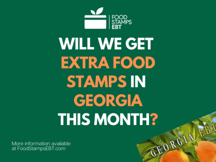 food stamp georgia stamps house msnbc tv