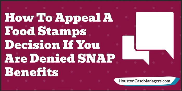 how to appeal food stamp denial in texas