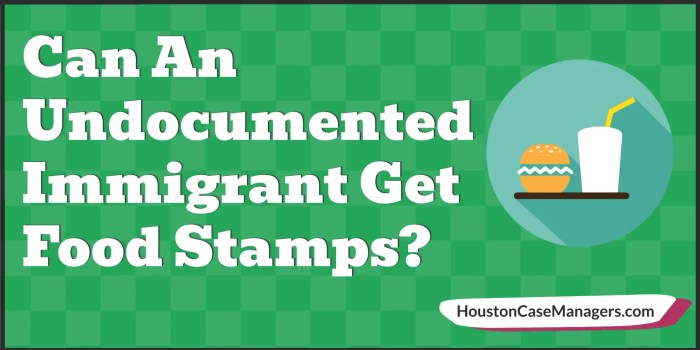 do undocumented immigrants get food stamps