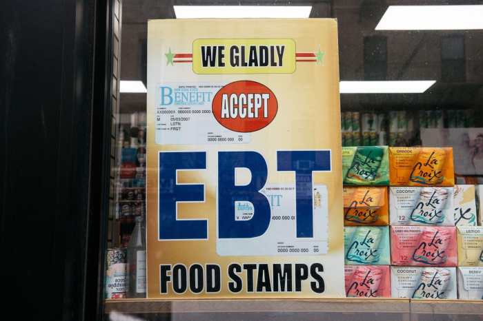 can you get dog food with food stamps terbaru