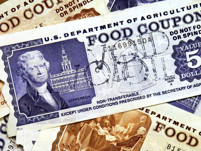 do food stamps cover diapers terbaru