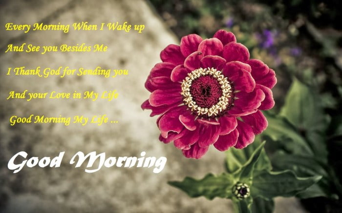 morning good flowers wishes quotes friends messages flower cards wallpapers family wallpaper every wake card gud wishgoodmorning roses when wife