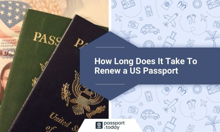 how long does it take to renew food stamps