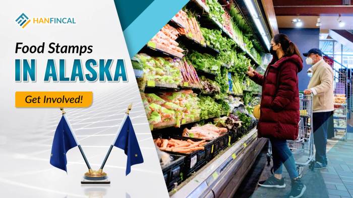 how to apply for food stamps in alaska