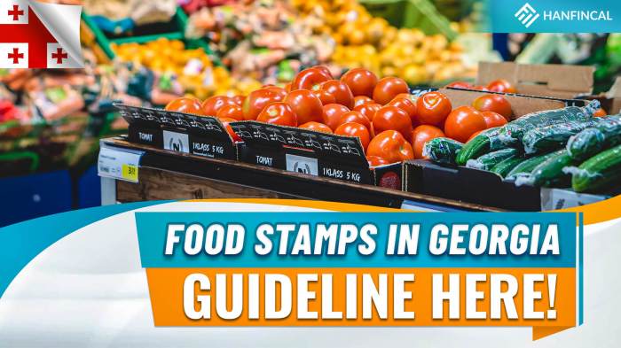 how do i apply for food stamps in tennessee