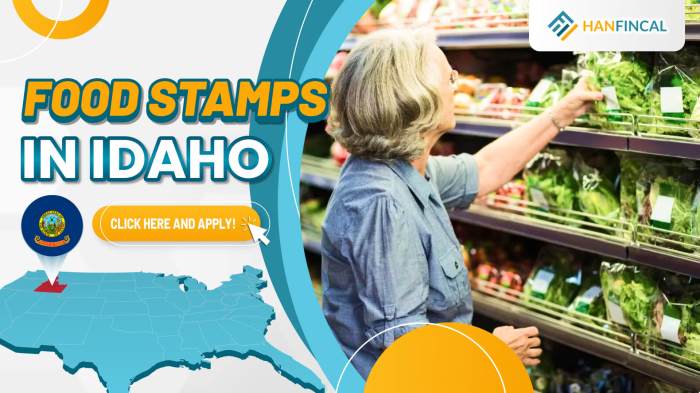 how do i apply for food stamps in idaho