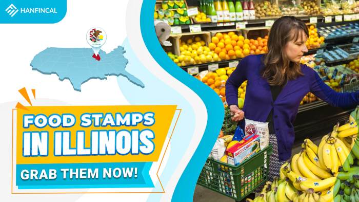 how do i get food stamps in illinois