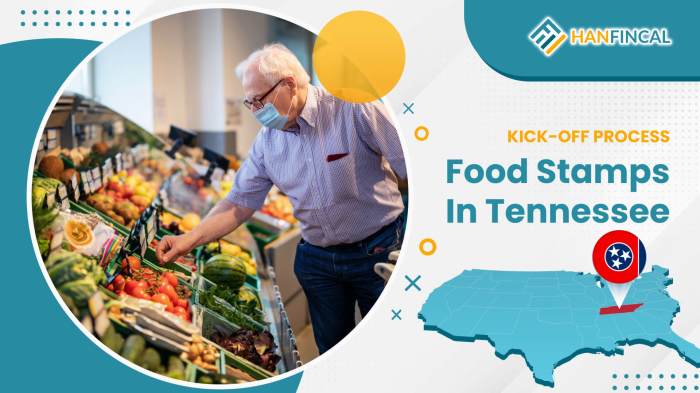 how to apply for food stamps in tennessee terbaru