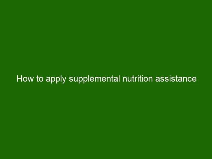 how to apply supplemental nutrition assistance program tennessee