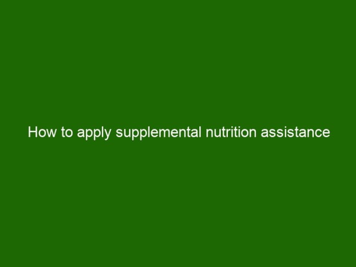 how to apply supplemental nutrition assistance program indiana terbaru