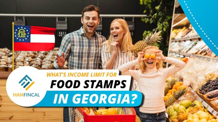 what is the income limit for georgia food stamps