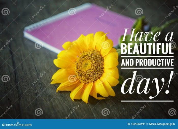 good wishes for a productive day terbaru