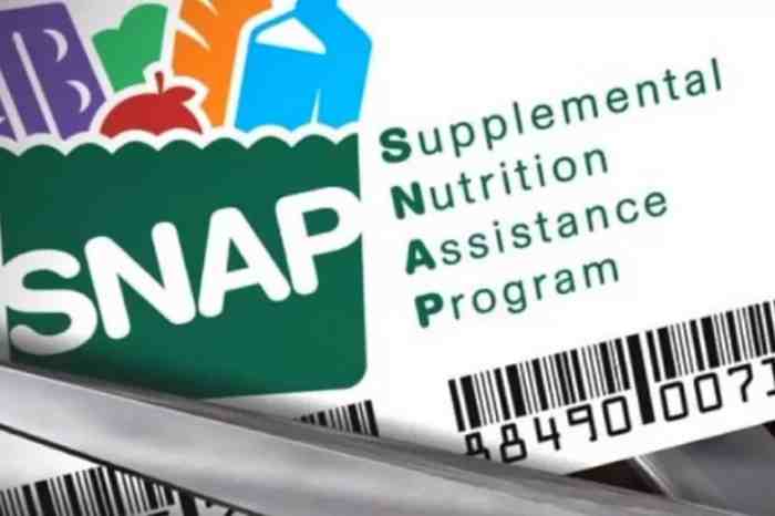 how to apply supplemental nutrition assistance program wisconsin terbaru