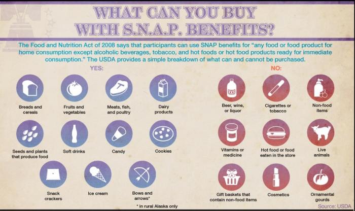 what can you buy and not buy with food stamps terbaru