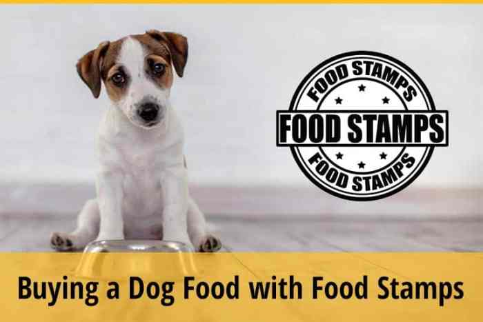 can u buy dog food on food stamps terbaru