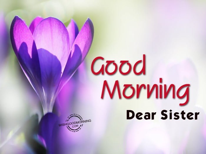 morning sister good wishes wishgoodmorning greetings lovely hindi href src embed code